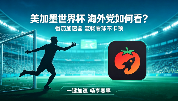 在加拿大看央视频世界杯直播无法播放教程